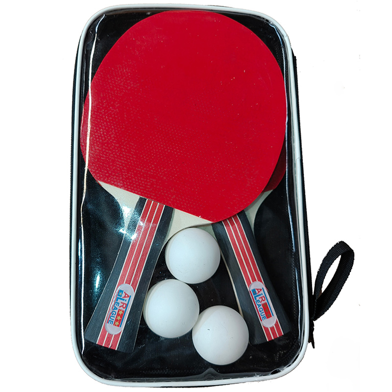 Air League Match Indoor Table Tennis Table Blue