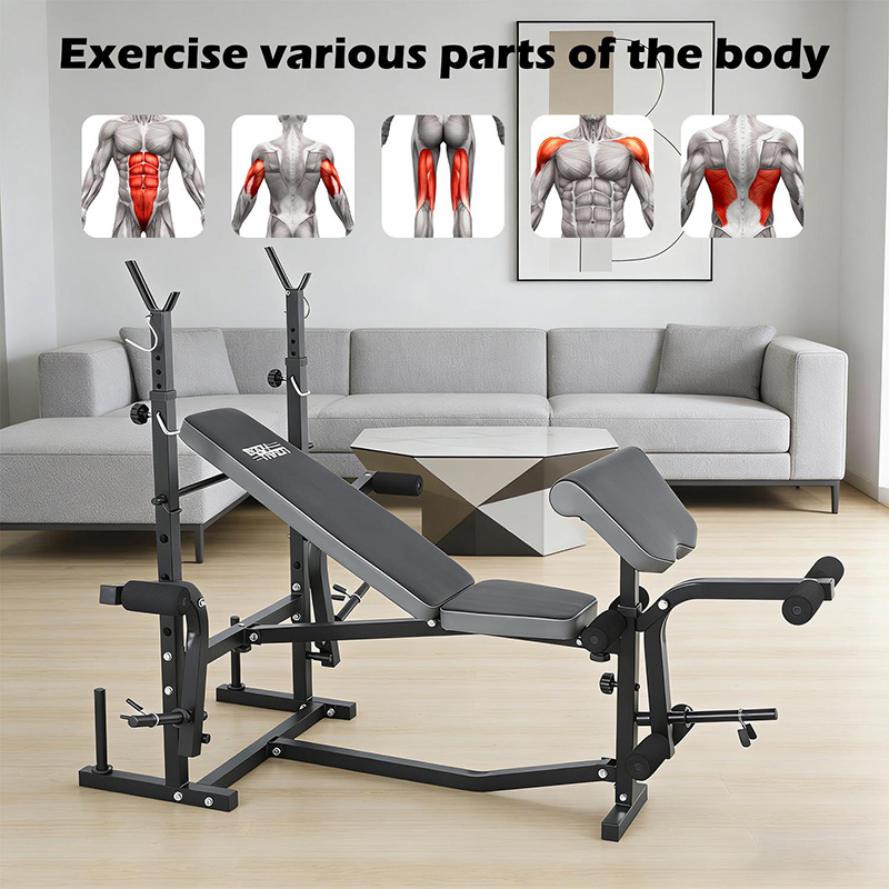 BodyTrain Advanced Weight Bench